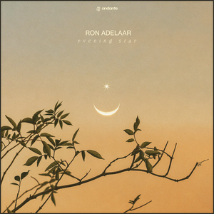 国产亚洲视频网站
